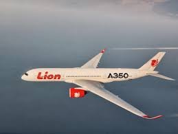 Airline